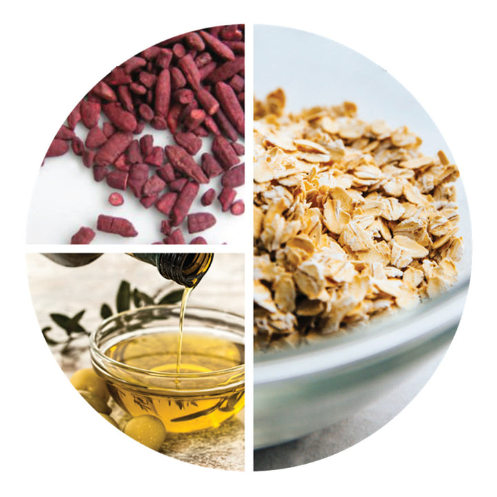 The Benefits of Naturachol: How It Can Help Lower Your Cholesterol