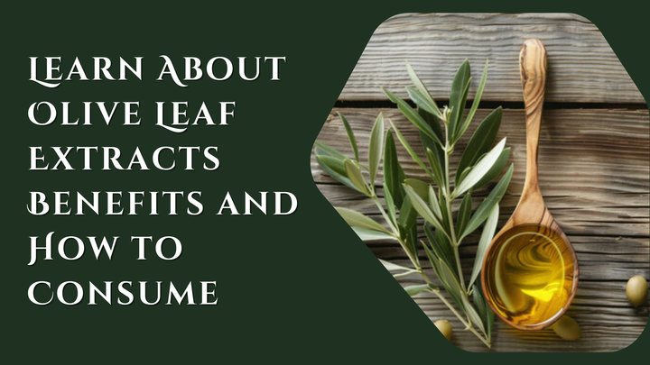 About Olive Leaf Extract