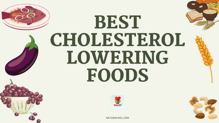 An Introduction to the Best Cholesterol-Lowering Foods