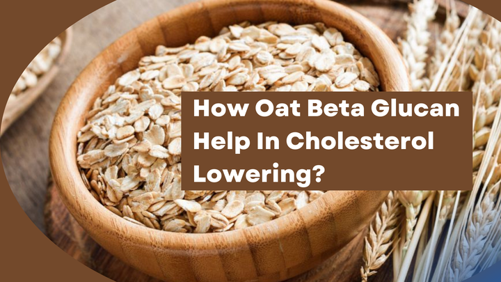 How Does Oat Beta Glucan Help in Lowering Your Cholesterol Levels?