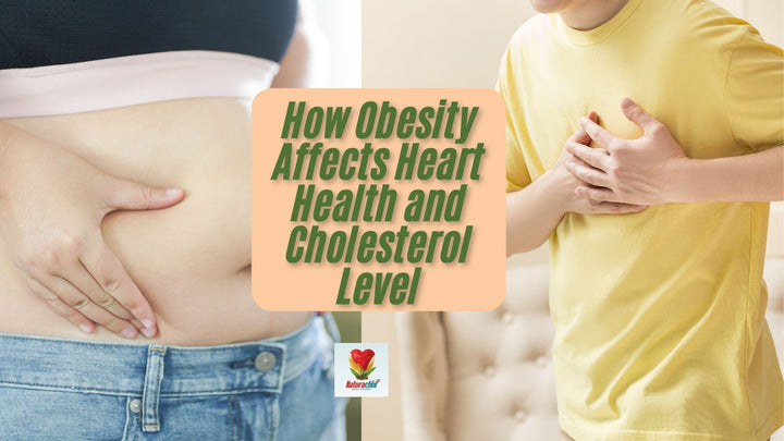 how obesity affects heart health and cholesterol level