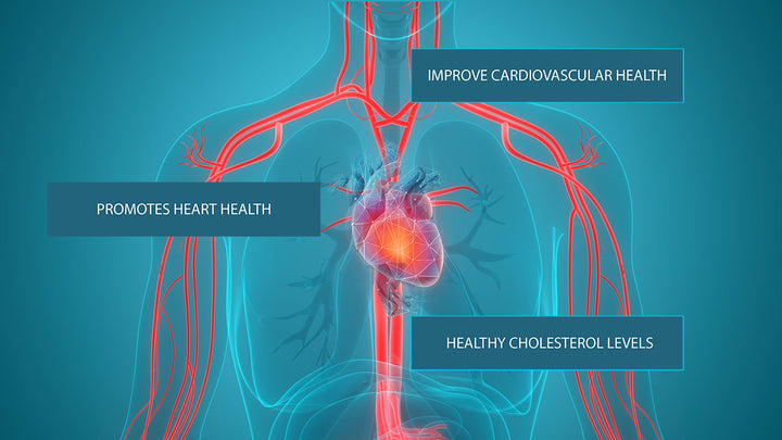 The Benefits of Naturachol Cholesterol Lowering Supplement Explained