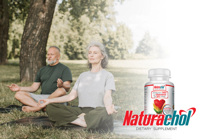 How Naturachol Can Help You Achieve a Healthy Cholesterol Level