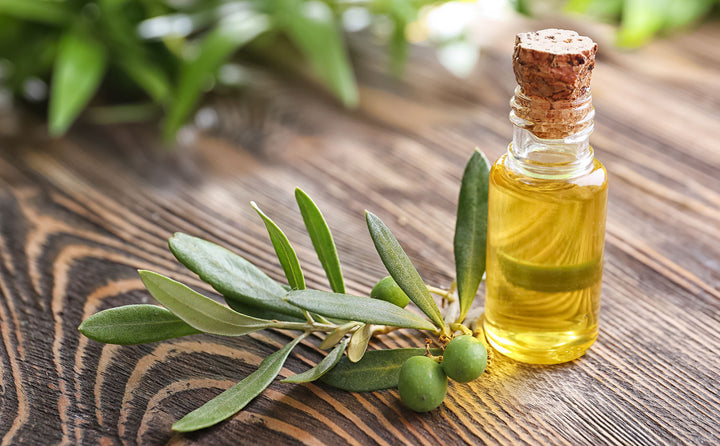 Why the Olive leaf reduces cholesterol better than Olive oil