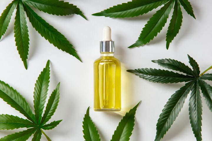 Can CBD Oil Lower Cholesterol? A Comprehensive Guide